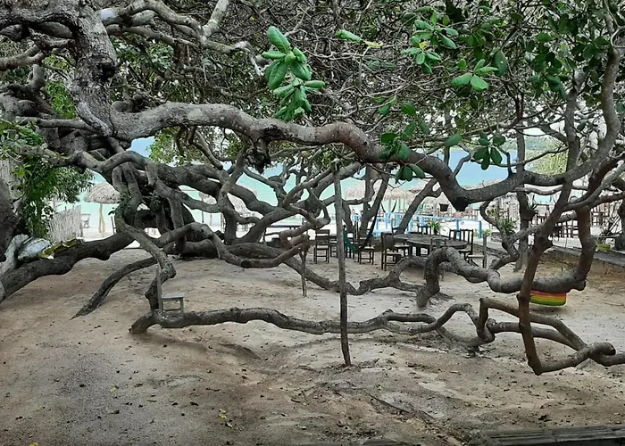 Jangaloa